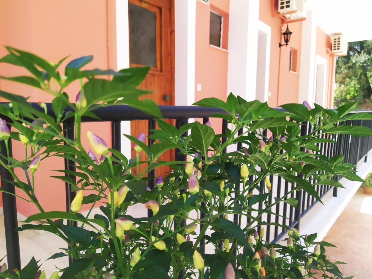 Aronis Apartments Беніцес Екстер'єр фото